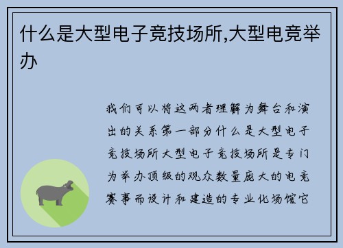 什么是大型电子竞技场所,大型电竞举办